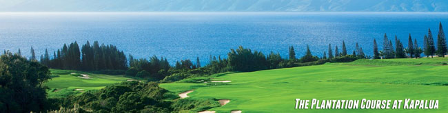 A_Kapalua_Plantation18_9x6_1