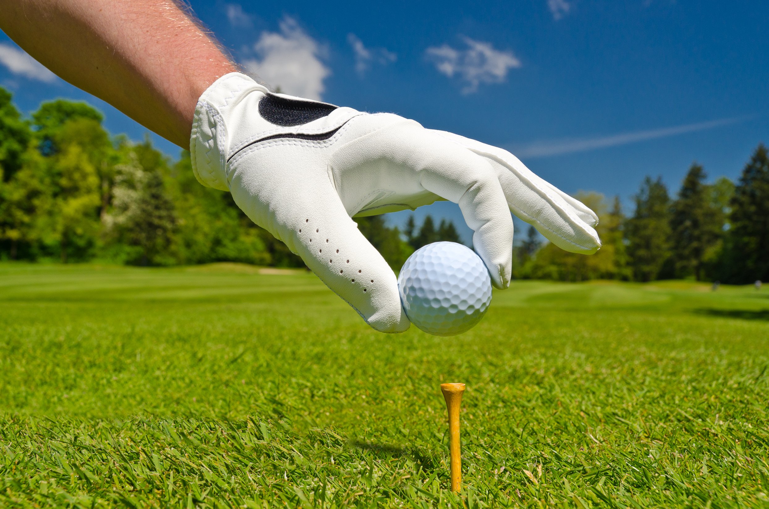 The Golf Ball Handbook on Brand and Model
