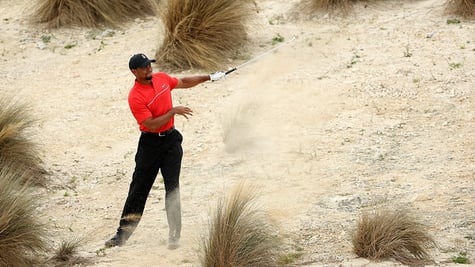 Tiger Woods 2.jpg